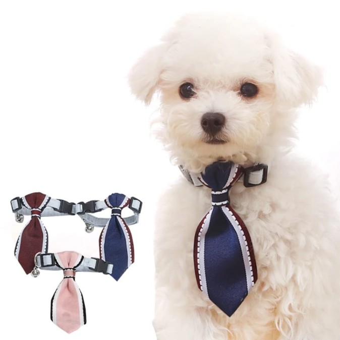 Cravate pour animaux