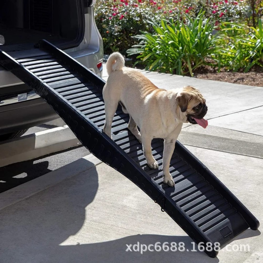 Rampe pour chien