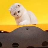 Tunnel pour chat