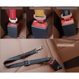 Ceinture de sécurité pour animaux