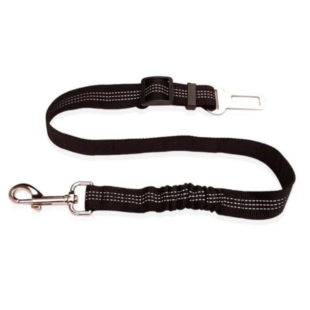 Ceinture de sécurité pour animaux