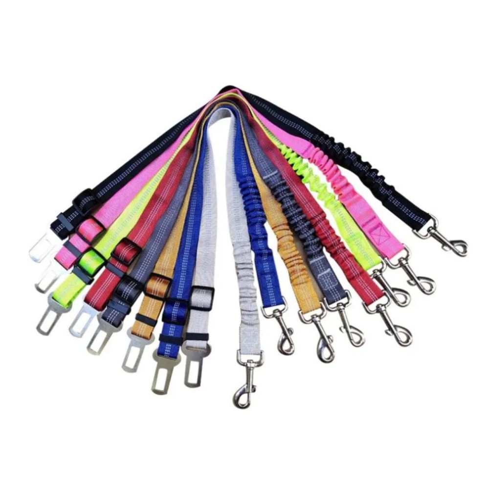 Ceinture de sécurité pour animaux