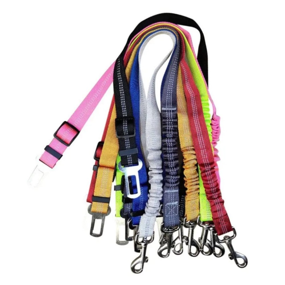 Ceinture de sécurité pour animaux