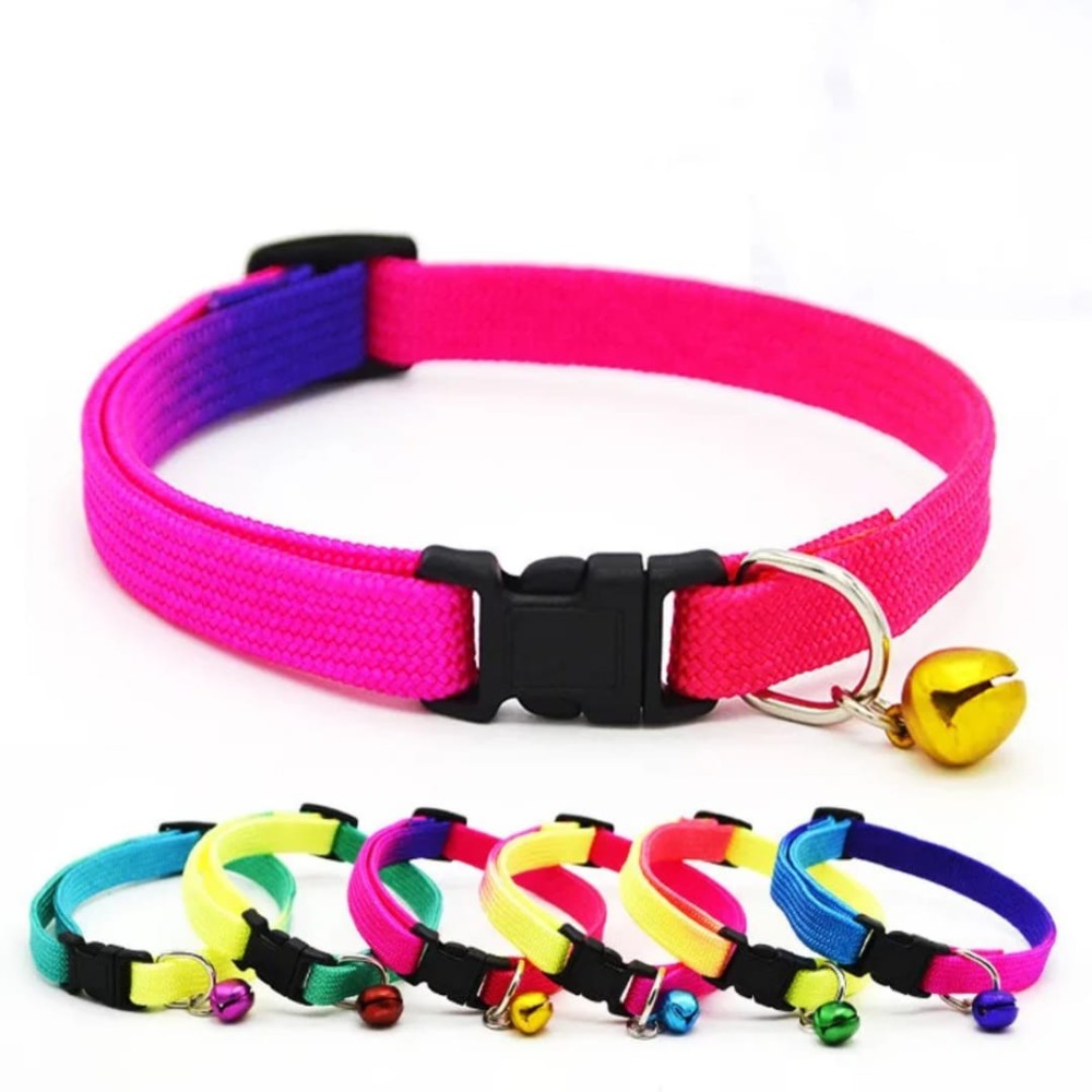 Collier pour chat arc-en-ciel