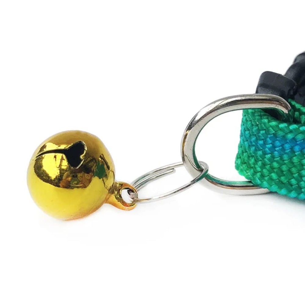 Collier pour chat arc-en-ciel