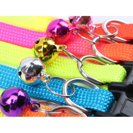 Collier pour chat arc-en-ciel