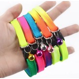 Collier pour chat arc-en-ciel