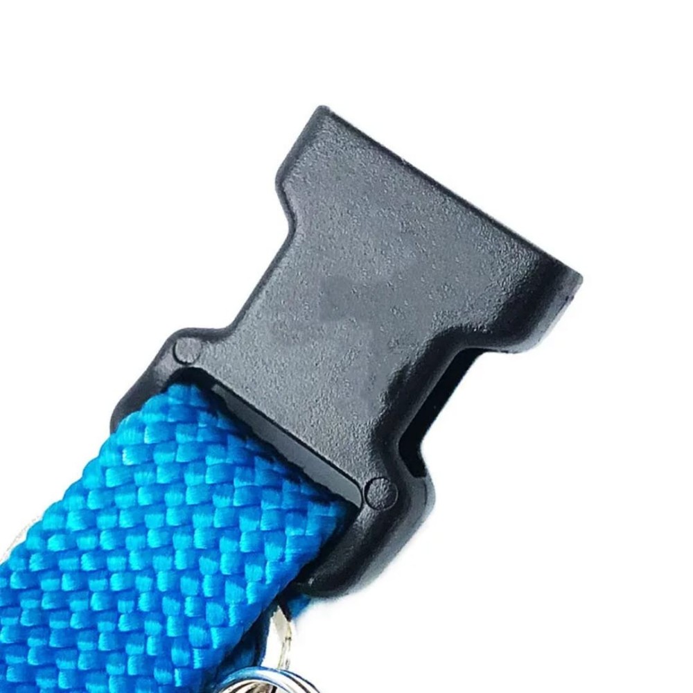 Collier pour chat arc-en-ciel