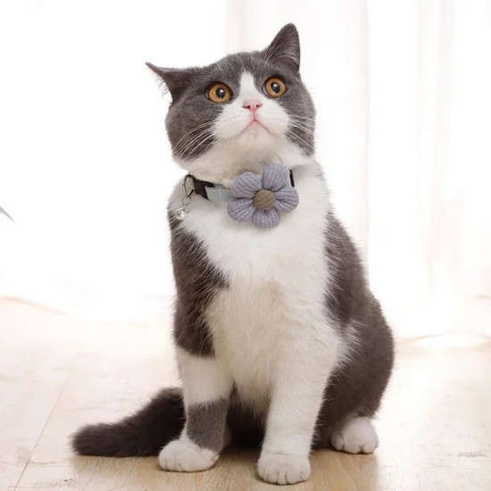 Collier pour chat avec fleur
