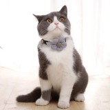 Collier pour chat avec fleur