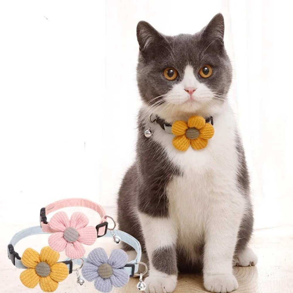 Collier pour chat avec fleur