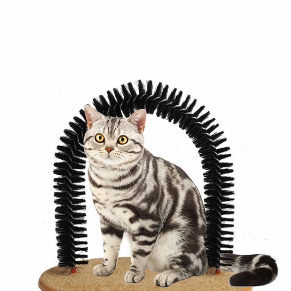 Arche de toilettage pour chat.