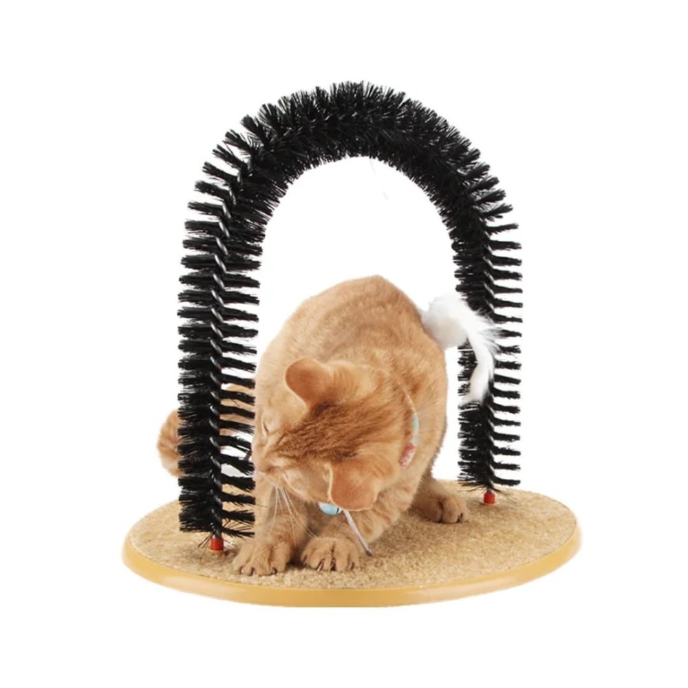 Arche de toilettage pour chat.