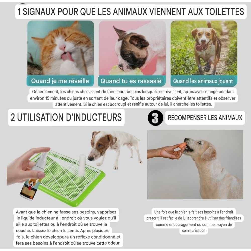 Spray d'incitation à la défécation