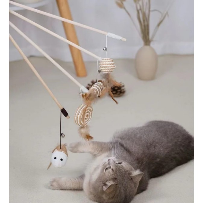 Jouet taquin pour chat
