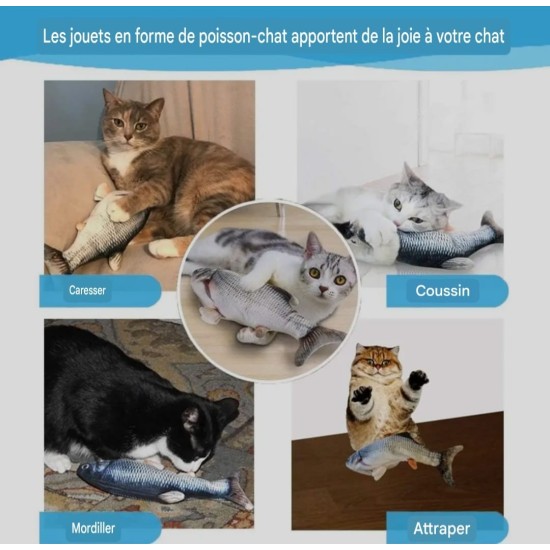 Poisson interactif pour chat