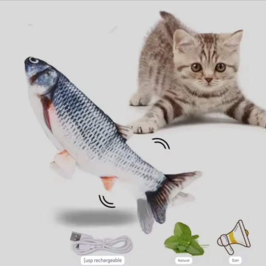 Poisson interactif pour chat