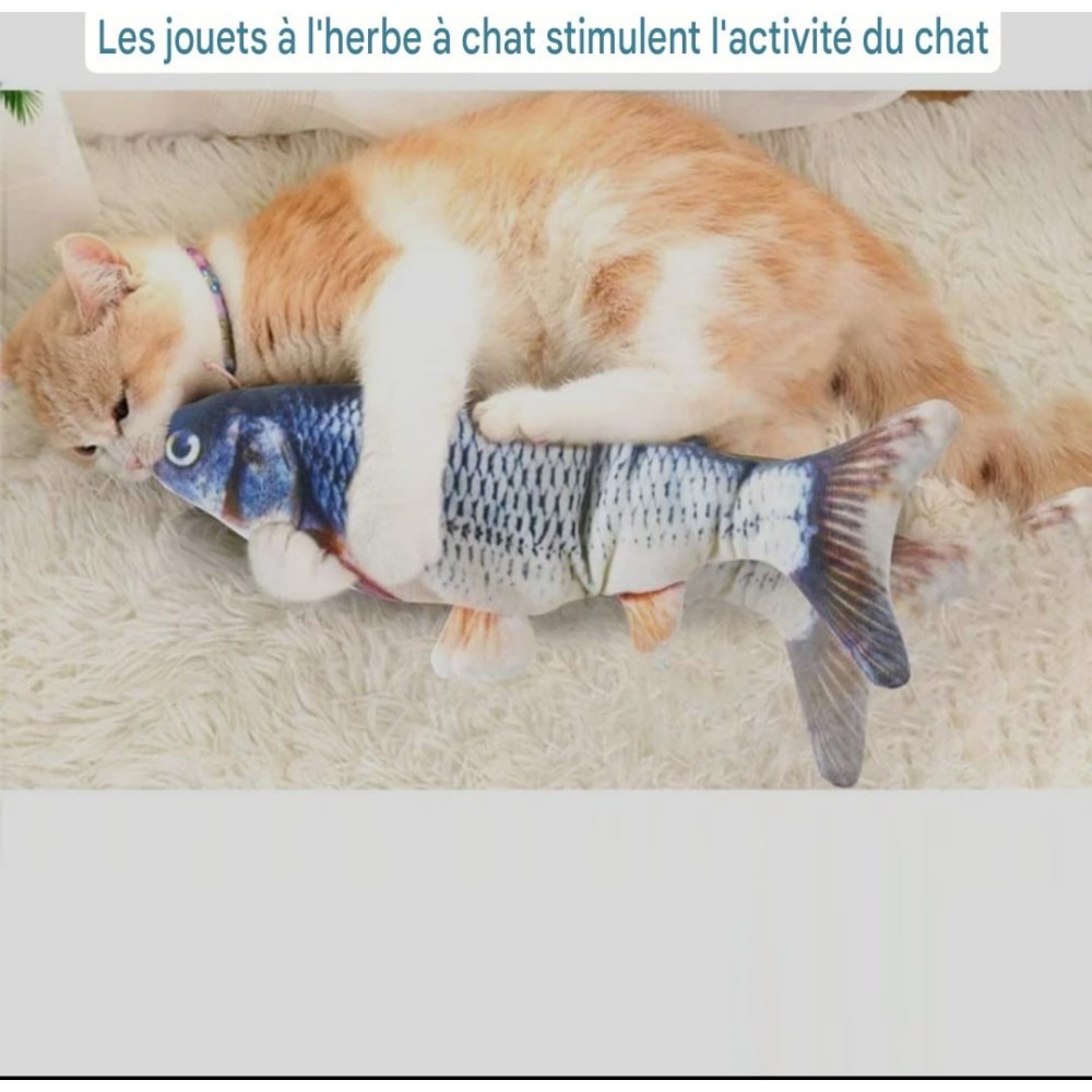 Poisson interactif pour chat