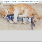 Poisson interactif pour chat