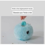 Balles interactives pour Chat