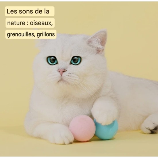 Balles interactives pour Chat