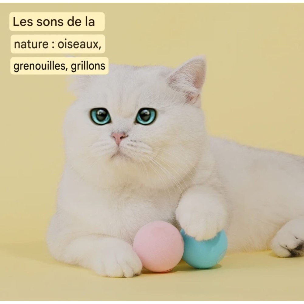 Balles interactives pour Chat