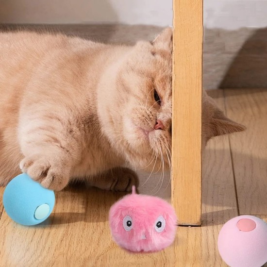 Balles interactives pour Chat