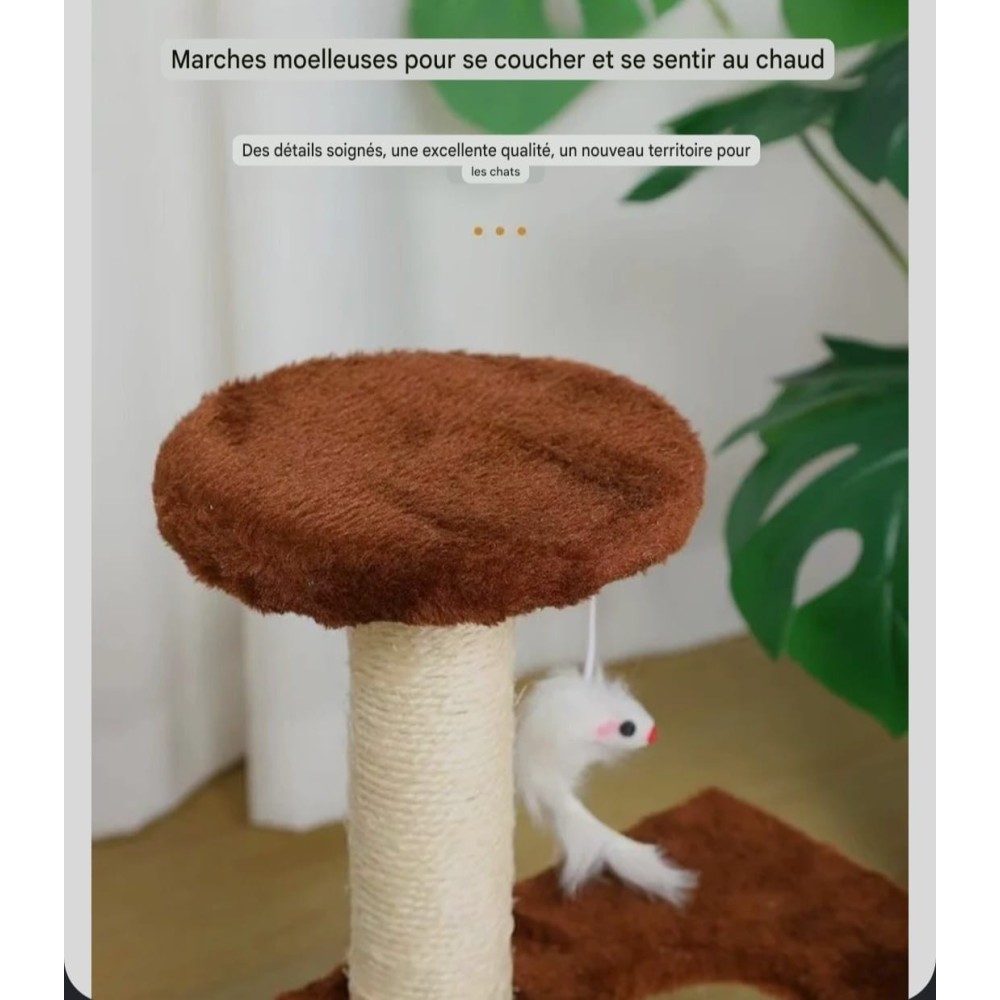 Arbre à chat