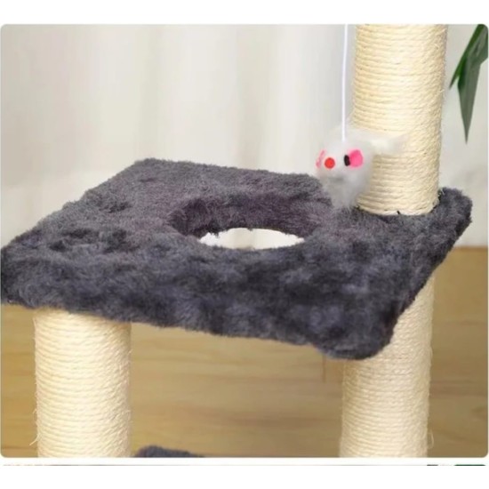 Arbre à chat