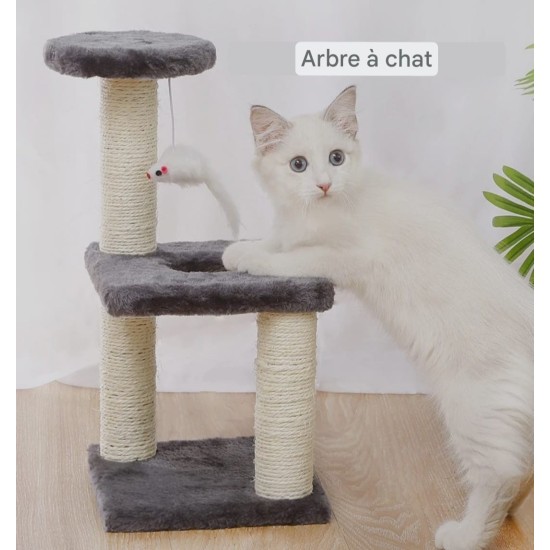 Arbre à chat
