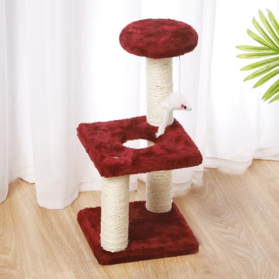 Arbre à chat