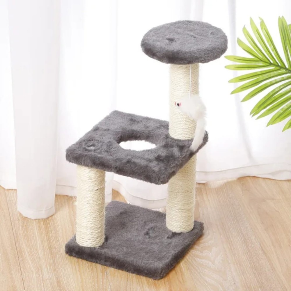 Arbre à chat