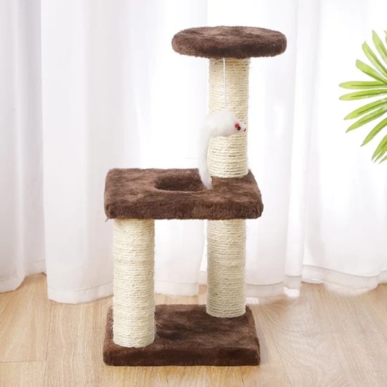 Arbre à chat