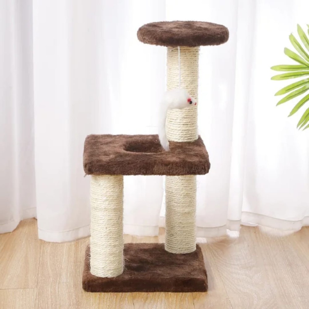 Arbre à chat