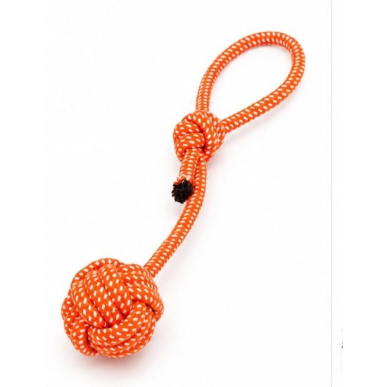 Jouets pour chien