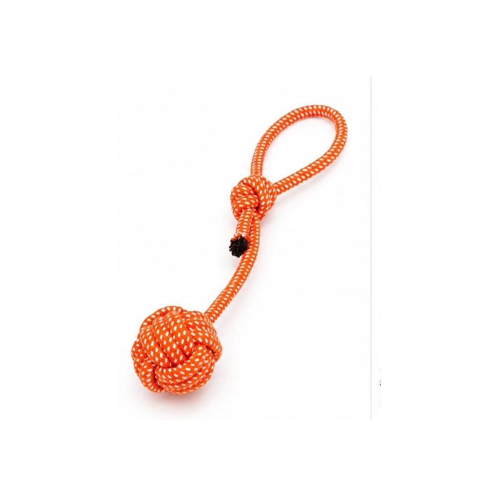 Jouets pour chien