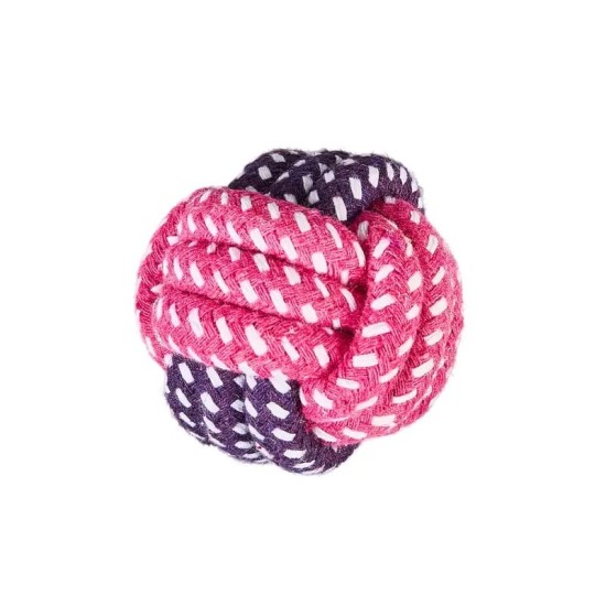 Jouets pour chien