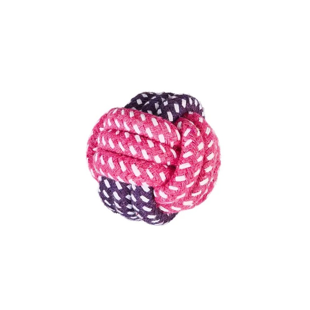 Jouets pour chien