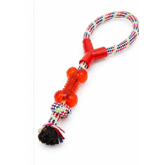 Jouets pour chien