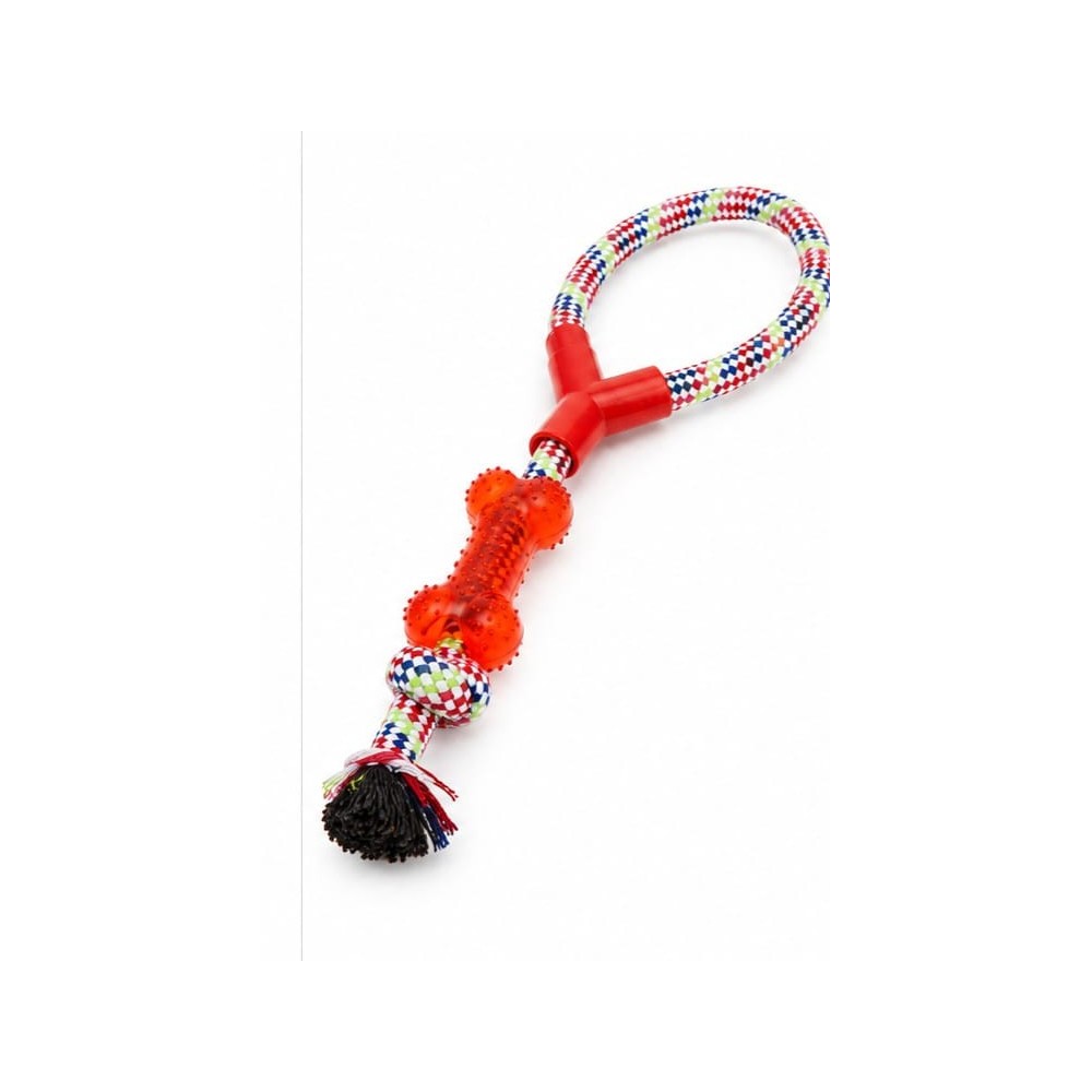 Jouets pour chien