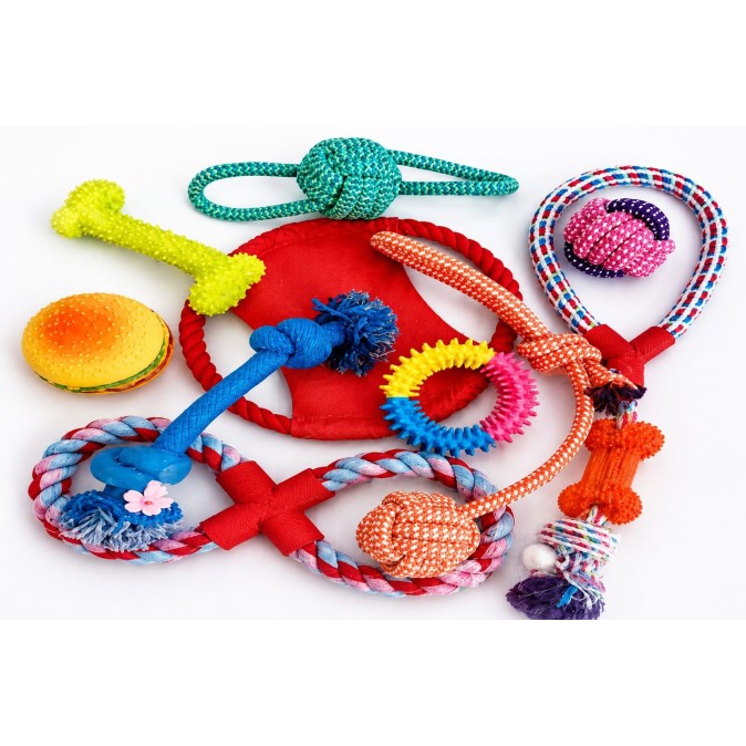 Jouets pour chien