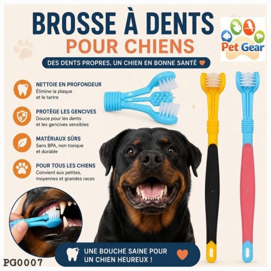 Brosse à dents à trois côtés pour animaux