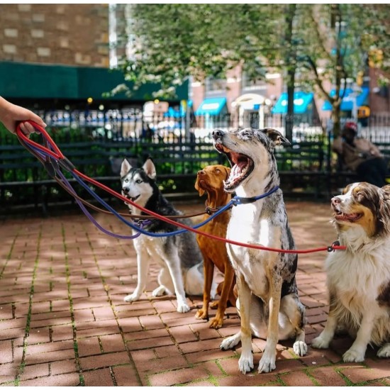 Laisse Coulissante - 6mm x 150cm
