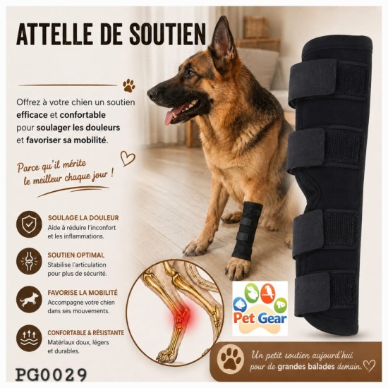 Genouillère pour chien