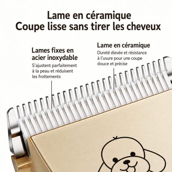 Tondeuse sans fil pour animaux