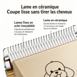 Tondeuse sans fil pour animaux