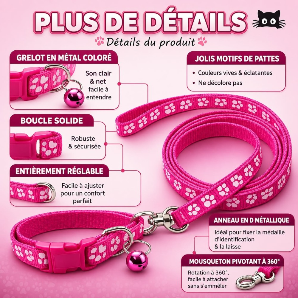 Ensemble collier et laisse
