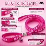 Ensemble collier et laisse