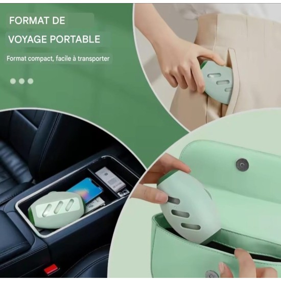 Rouleau attrape-poils lavable