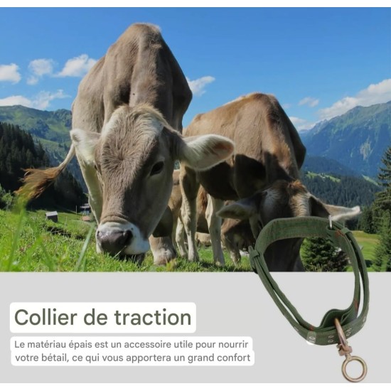 Collier de traction pour bétail